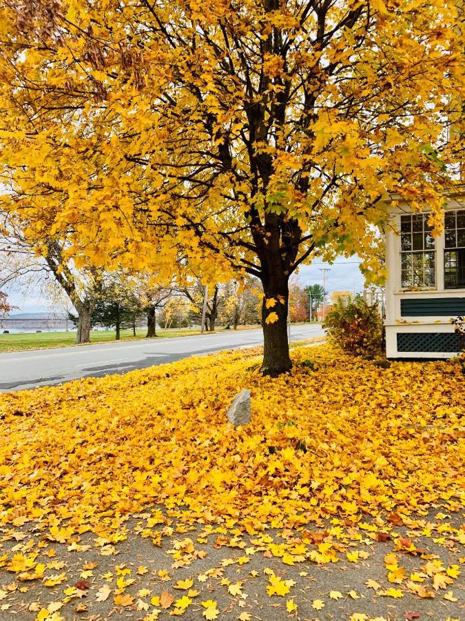 The Colonel'S In Bed And Breakfast Fredericton Ngoại thất bức ảnh